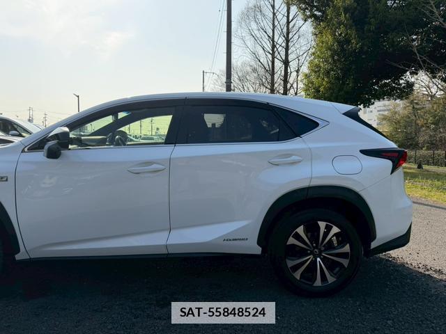 Lexus NX 2018-04 7794396-10