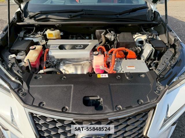 Lexus NX 2018-04 7794396-13