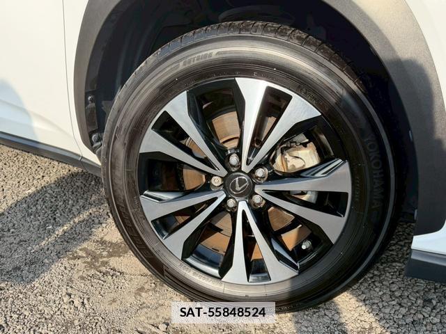 Lexus NX 2018-04 7794396-14