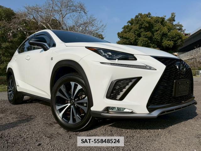 Lexus NX 2018-04 7794396-15