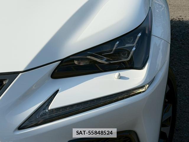 Lexus NX 2018-04 7794396-3
