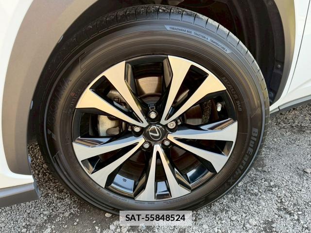 Lexus NX 2018-04 7794396-7