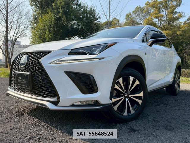 Lexus NX 2018-04 7794396-8