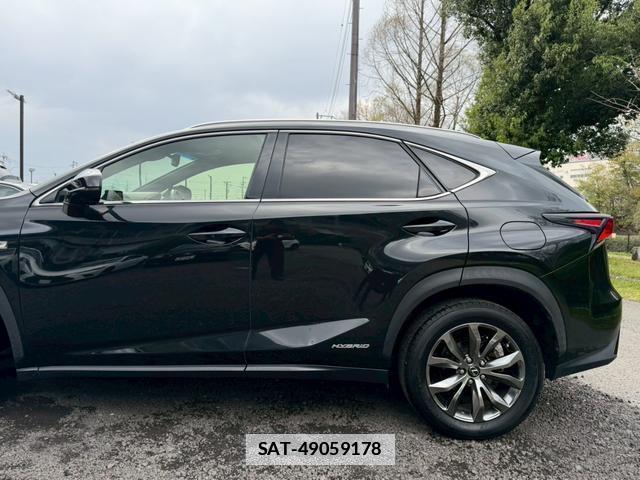 Lexus NX 2018-01 7794399-11