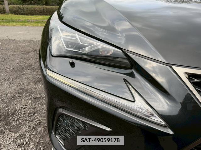 Lexus NX 2018-01 7794399-12