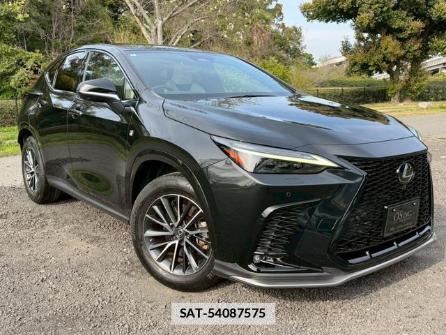 Lexus NX 2022-02 7794401-14