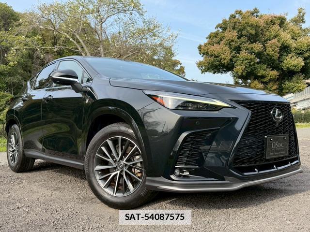 Lexus NX 2022-02 7794401-15