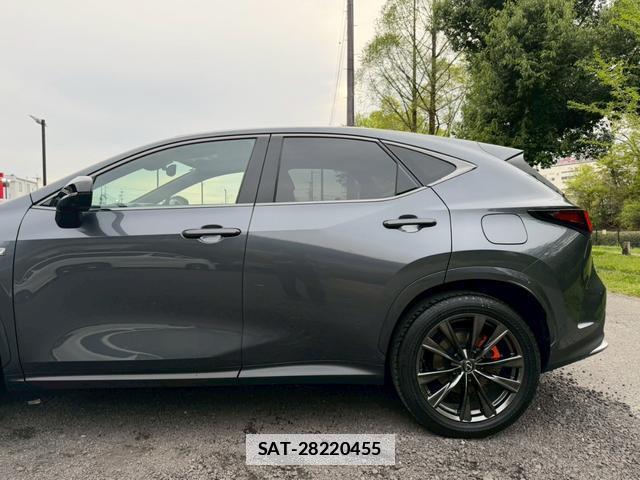 Lexus NX 2023-10 7794410-10