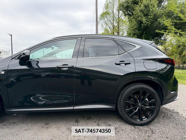 Lexus NX 2023-05 7794411-10