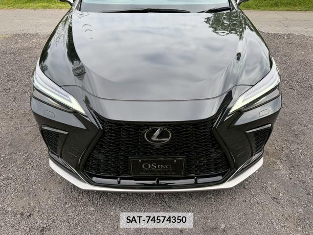 Lexus NX 2023-05 7794411-6