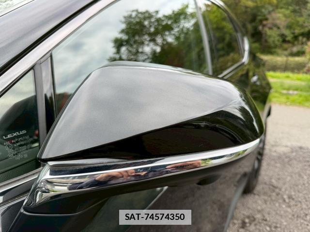 Lexus NX 2023-05 7794411-8