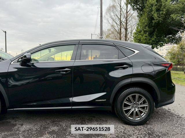 Lexus NX 2020-01 7794416-10