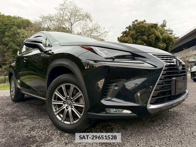 Lexus NX 2020-01 7794416-12