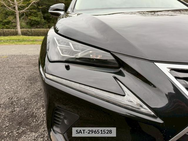 Lexus NX 2020-01 7794416-14