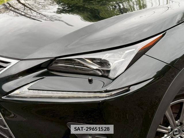 Lexus NX 2020-01 7794416-4