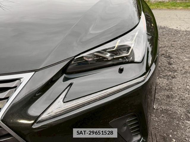 Lexus NX 2020-01 7794416-5