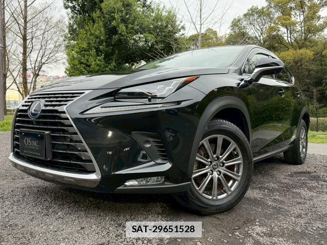 Lexus NX 2020-01 7794416-8