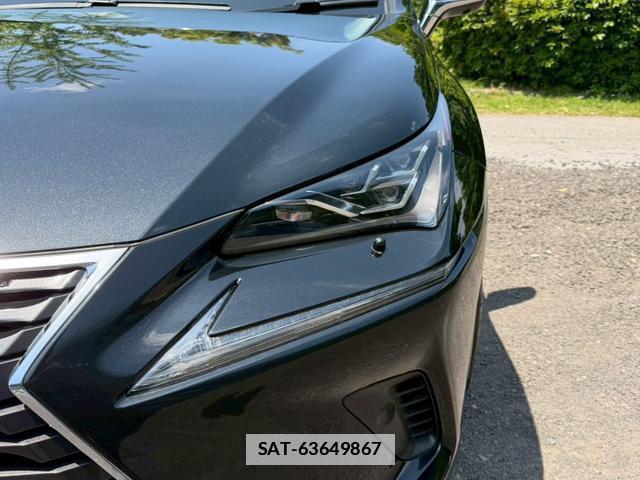 Lexus NX 2018-04 7794428-3