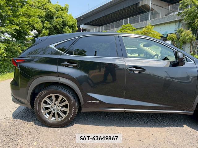 Lexus NX 2018-04 7794428-7