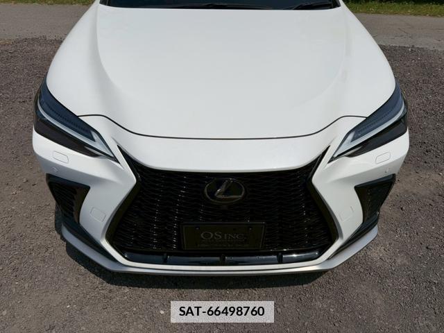 Lexus NX 2023-03 7794431-14