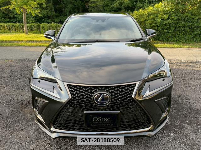 Lexus NX 2020-08 7794437-1