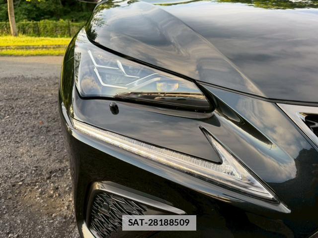 Lexus NX 2020-08 7794437-10