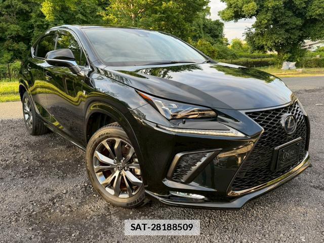 Lexus NX 2020-08 7794437-12