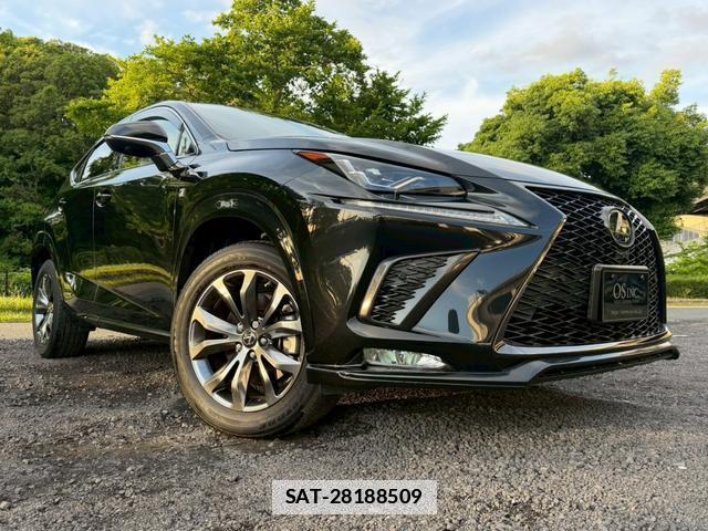 Lexus NX 2020-08 7794437-13