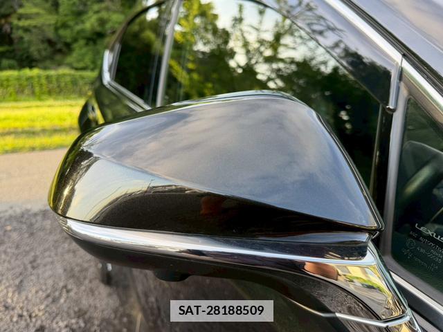 Lexus NX 2020-08 7794437-15