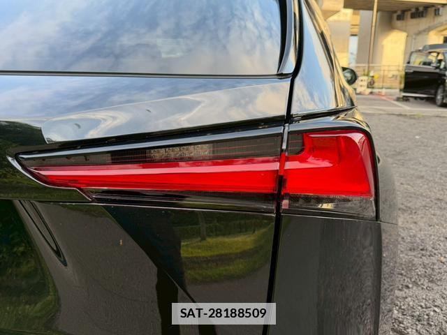 Lexus NX 2020-08 7794437-17