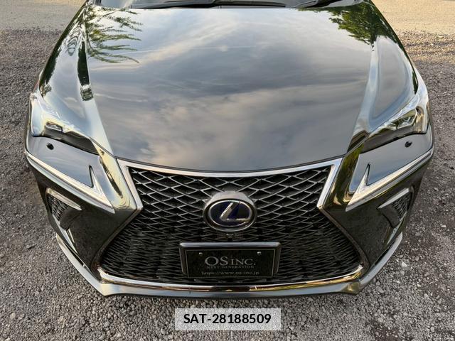 Lexus NX 2020-08 7794437-2