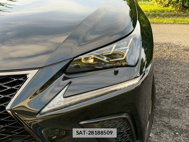 Lexus NX 2020-08 7794437-3