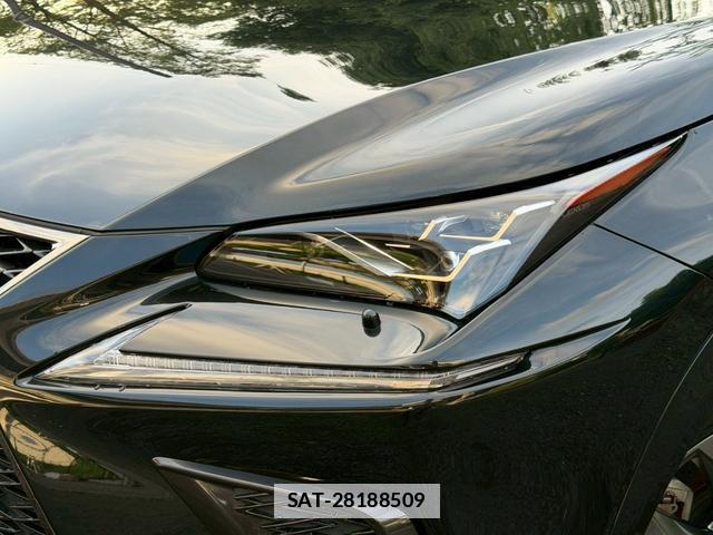 Lexus NX 2020-08 7794437-4