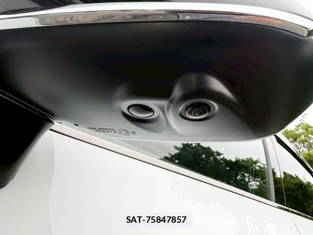 Lexus NX 2024-11 7794451-10