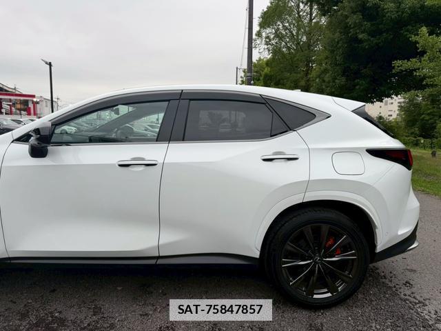Lexus NX 2024-11 7794451-11
