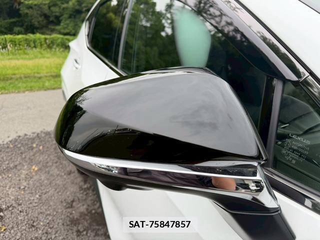 Lexus NX 2024-11 7794451-14