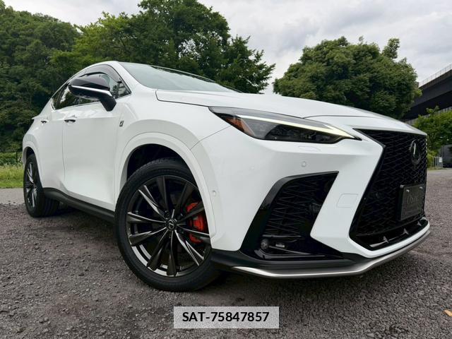 Lexus NX 2024-11 7794451-16
