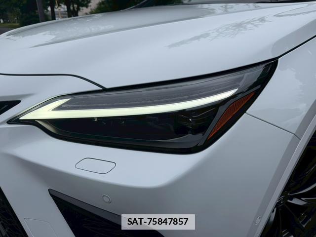 Lexus NX 2024-11 7794451-4
