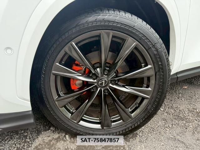 Lexus NX 2024-11 7794451-7