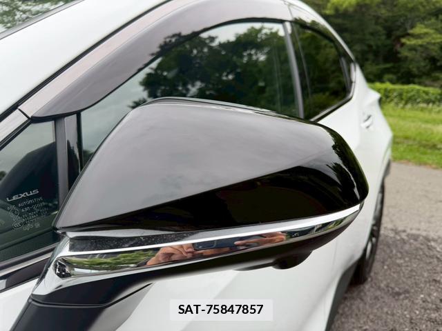 Lexus NX 2024-11 7794451-9