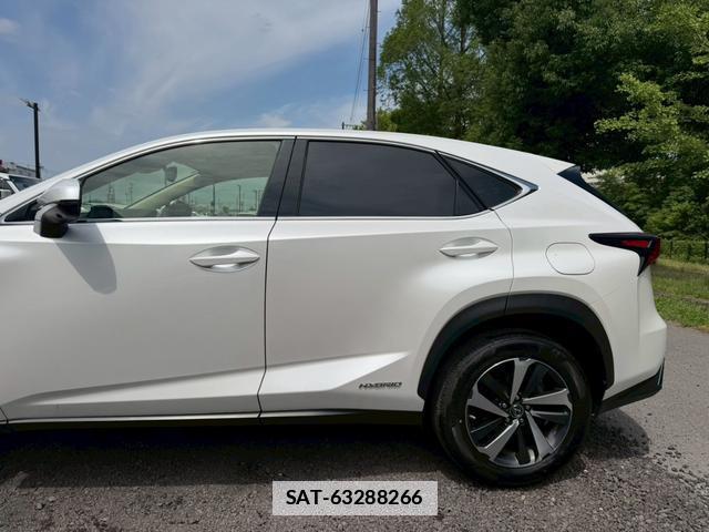 Lexus NX 2020-09 7794452-11
