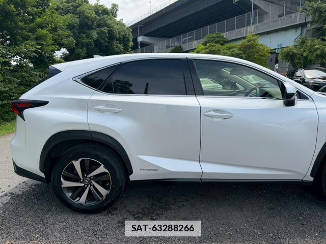 Lexus NX 2020-09 7794452-12