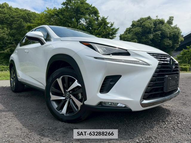Lexus NX 2020-09 7794452-15