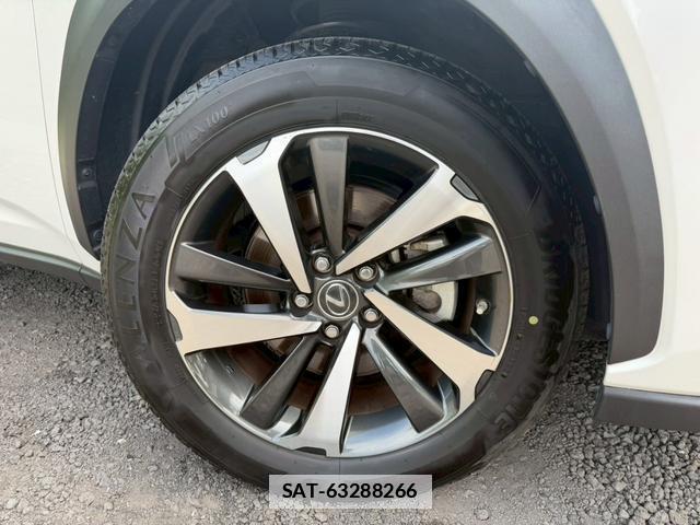Lexus NX 2020-09 7794452-16