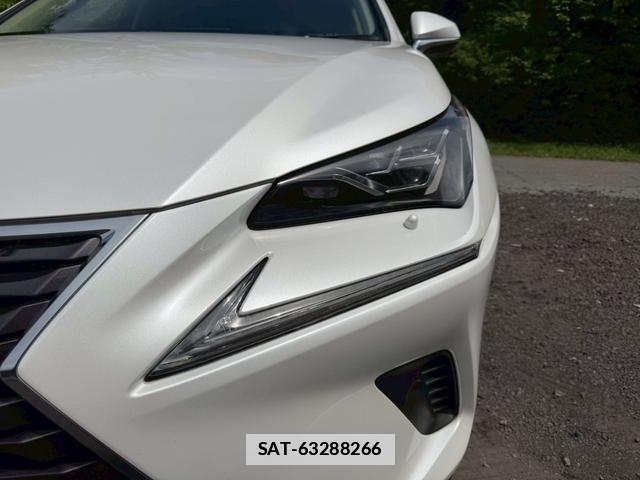 Lexus NX 2020-09 7794452-3