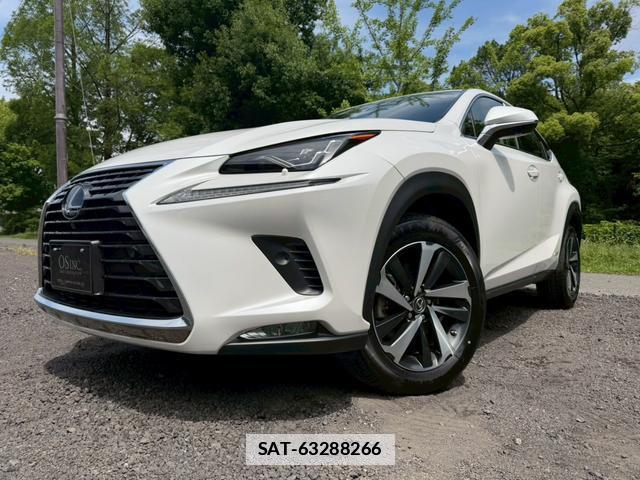 Lexus NX 2020-09 7794452-6