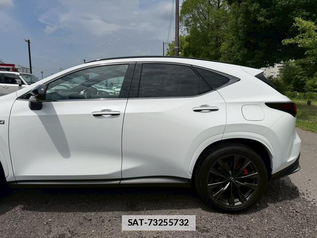 Lexus NX 2023-08 7794453-11