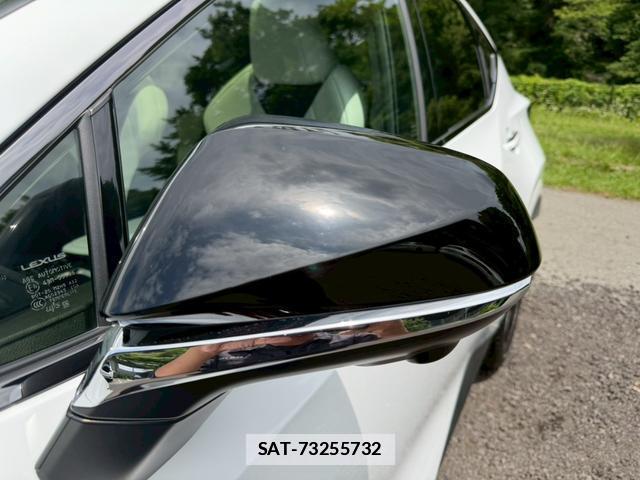 Lexus NX 2023-08 7794453-9