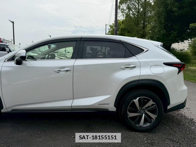 Lexus NX 2018-05 7794455-11