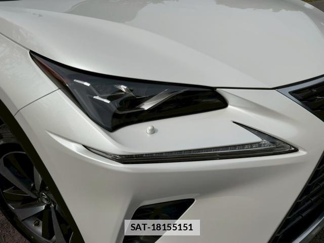 Lexus NX 2018-05 7794455-12